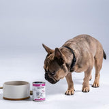 Nectar Of The Dogs Skin + Coat (Medicinal Water Treat) Soluble Powder 150g