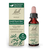 Bach Flower Remedies Holly 20ml