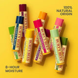 Burt's Bees Moisturising Lip Balm Vanilla Bean 4.25g