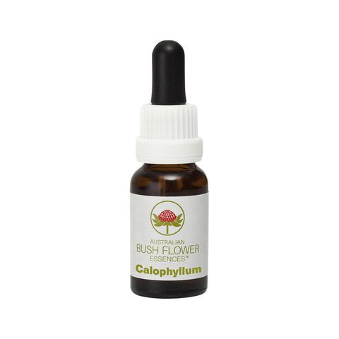 Australian Bush Flower Essences Calophyllum 15ml