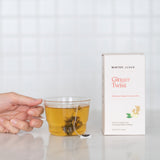 Mister Jones Ginger Twist X 25 Tea Bags