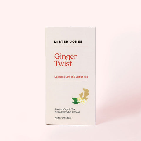 Mister Jones Ginger Twist X 25 Tea Bags