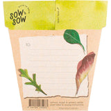 SOW 'N SOW Gift Of Seeds Leafy Greens 1