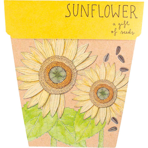 SOW 'N SOW Gift Of Seeds Sunflower 1