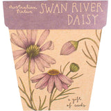 SOW 'N SOW Gift Of Seeds Swan River Daisy 1