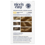 Clairol Nice n Easy 6.5G Light Golden Brown